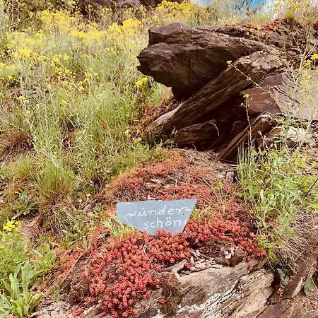 Apartment Gemuetliche 